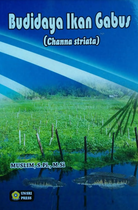 Budidaya Ikan rawa